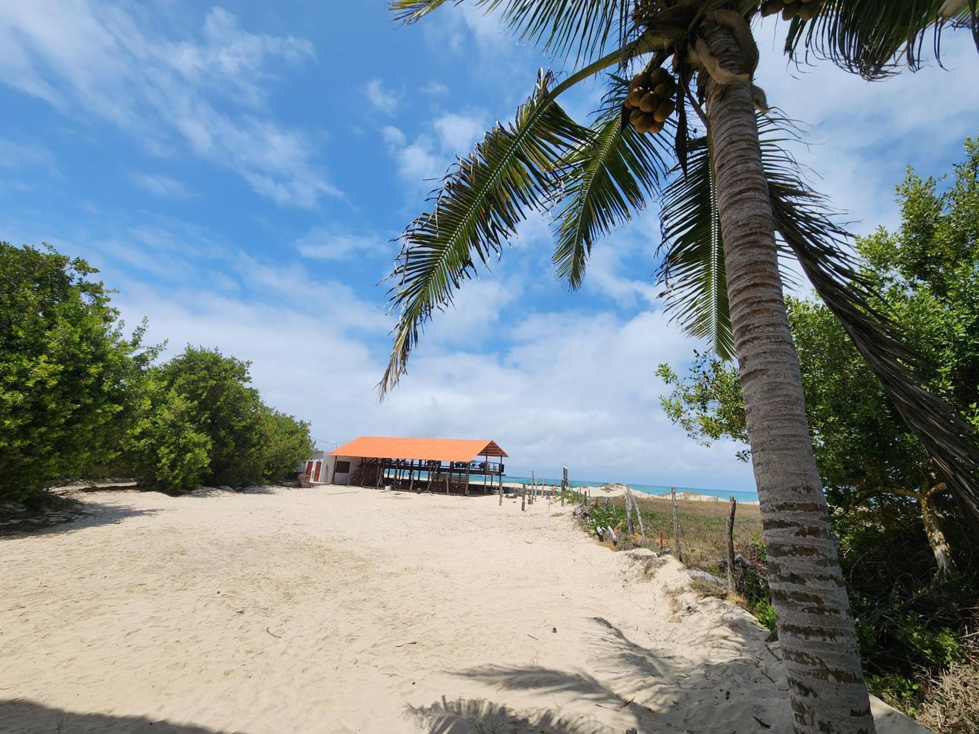 Hotel La Jungla Puerto Villamil Dış mekan fotoğraf